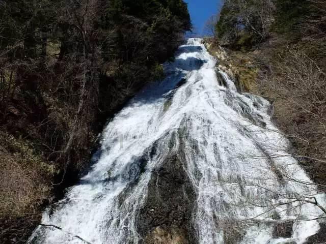 偏头痛的症状及治疗？游戏画面